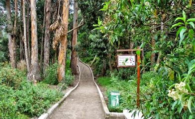 Jardín Botánico Atocha - Liria
